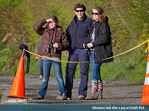 sealsitters-on-duty-caption-robin_lindsey