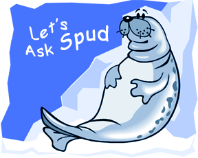 askSpud-trans