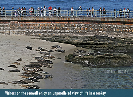 seawall_observers